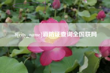 寿光消防证查询全国联网