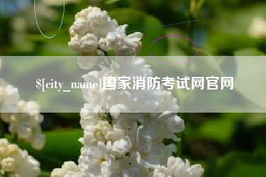 寿光国家消防考试网官网