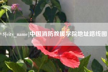 寿光中国消防救援学院地址路线图