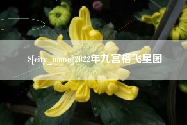 寿光2022年九宫格飞星图