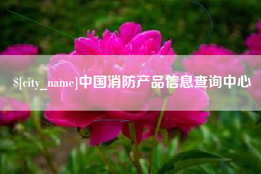 寿光中国消防产品信息查询中心
