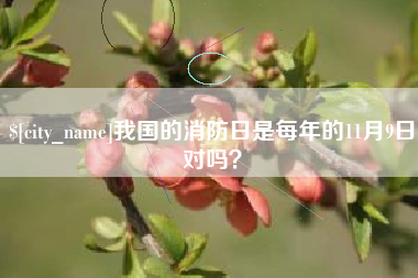 寿光我国的消防日是每年的11月9日对吗？