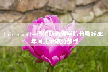 寿光中国消防救援学院分数线2023年河北录取分数线