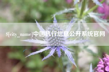 寿光中国执行信息公开系统官网