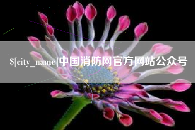 寿光中国消防网官方网站公众号