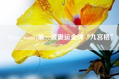 寿光第一波奥运金牌“九宫格”