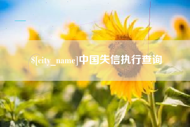寿光中国失信执行查询