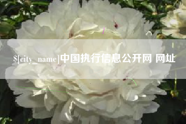寿光中国执行信息公开网 网址