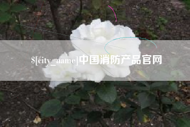 寿光中国消防产品官网