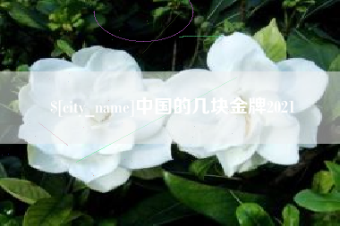 寿光中国的几块金牌2021
