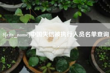 寿光中国失信被执行人员名单查询