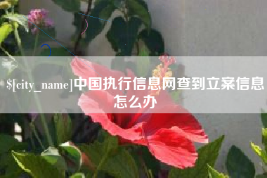 寿光中国执行信息网查到立案信息怎么办