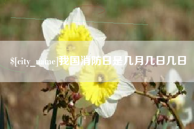 寿光我国消防日是几月几日几日