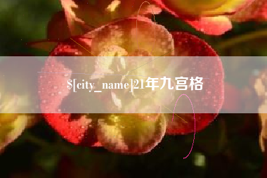 寿光21年九宫格