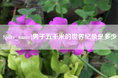 寿光男子五千米的世界纪录是多少