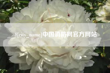 寿光中国消防网官方网站