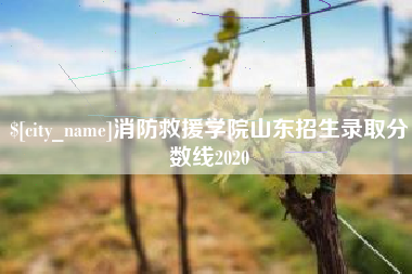寿光消防救援学院山东招生录取分数线2020