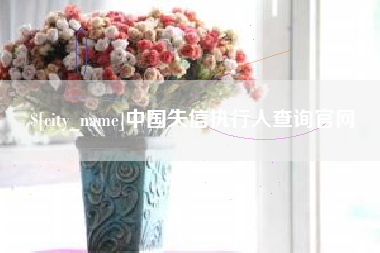 寿光中国失信执行人查询官网