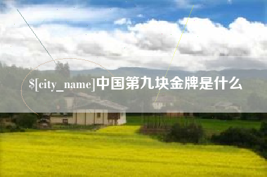 寿光中国第九块金牌是什么