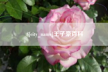 寿光王子豪百科