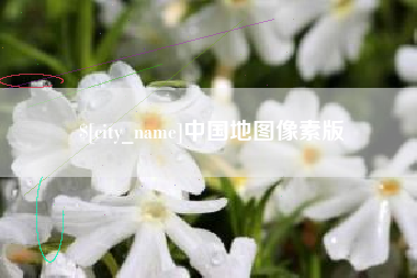 寿光中国地图像素版