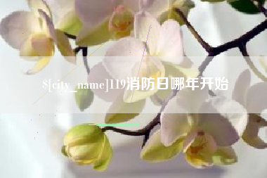 寿光119消防日哪年开始