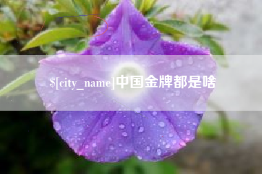 寿光中国金牌都是啥