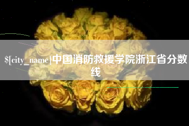 寿光中国消防救援学院浙江省分数线