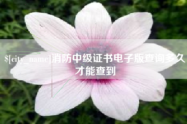 寿光消防中级证书电子版查询多久才能查到