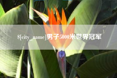 寿光男子5000米世界冠军
