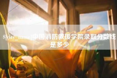 寿光中国消防救援学院录取分数线是多少