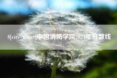 寿光中国消防学院2024年分数线