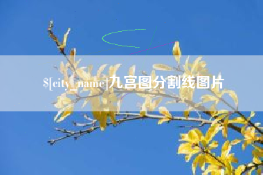 寿光九宫图分割线图片
