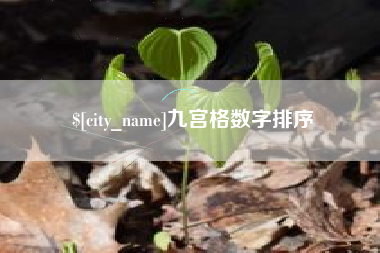 寿光九宫格数字排序