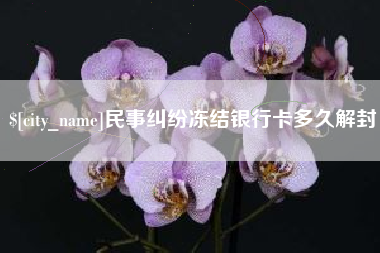 寿光民事纠纷冻结银行卡多久解封
