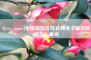 寿光中国消防在线官网电子版消防证怎么查询