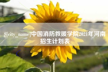 寿光中国消防救援学院2021年河南招生计划表