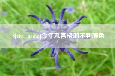寿光今年九宫格的不利颜色