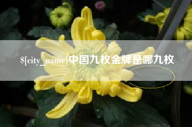 寿光中国九枚金牌是哪九枚
