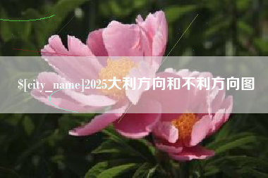 寿光2025大利方向和不利方向图