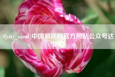 寿光中国消防网官方网站公众号达伦特