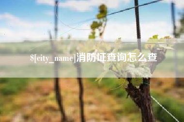 寿光消防证查询怎么查