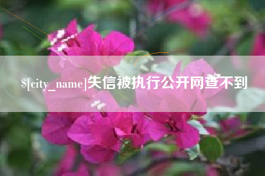 寿光失信被执行公开网查不到