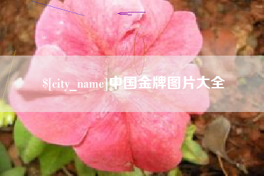 寿光中国金牌图片大全
