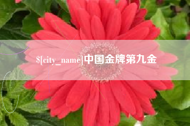 寿光中国金牌第九金