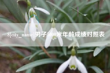 寿光男子5000米年龄成绩对照表