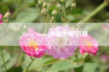 寿光中国地图9宫格