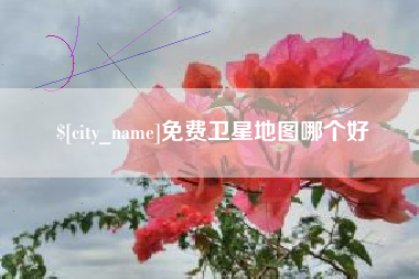 寿光免费卫星地图哪个好