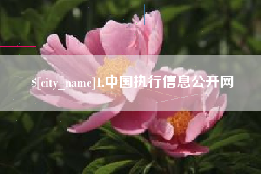 寿光1.中国执行信息公开网