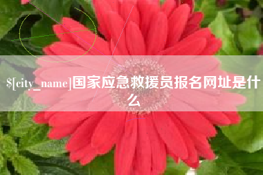 寿光国家应急救援员报名网址是什么